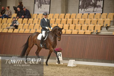Blue Hors
5års dressur kvl
Nøgleord: eric guardia marrtinez;tophøjs diadora