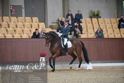 Blue Hors
5års dressur kvl
Nøgleord: eric guardia marrtinez;tophøjs diadora