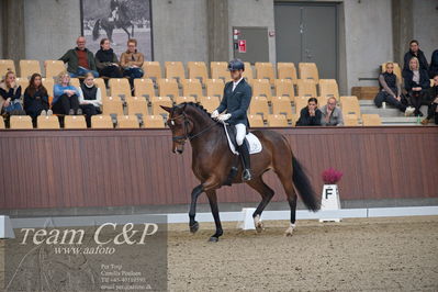 Blue Hors
5års dressur kvl
Nøgleord: eric guardia marrtinez;tophøjs diadora