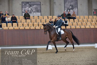 Blue Hors
5års dressur kvl
Nøgleord: eric guardia marrtinez;tophøjs diadora