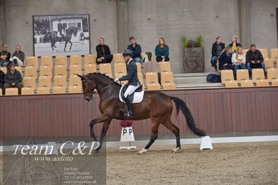 Blue Hors
5års dressur kvl
Nøgleord: eric guardia marrtinez;tophøjs diadora