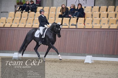 Blue Hors
dressur 6års kvl
Nøgleord: king arthur sollenburg;stine juul lyngs