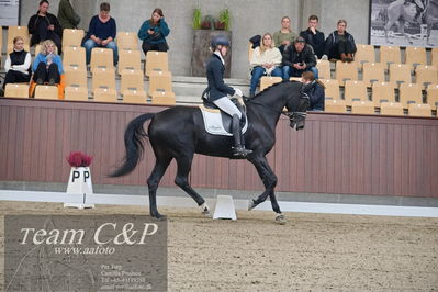 Blue Hors
dressur 6års kvl
Nøgleord: logo's gaya;emma ahlberg