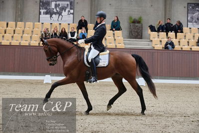 Blue Hors
dressur 6års kvl
Nøgleord: morten kappel;kamar's express noir hit