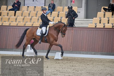 Blue Hors
dressur 6års kvl
Nøgleord: morten kappel;kamar's express noir hit