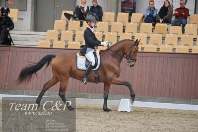 Blue Hors
dressur 6års kvl
Nøgleord: morten kappel;kamar's express noir hit