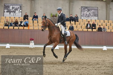 Blue Hors
dressur 6års kvl
Nøgleord: morten kappel;kamar's express noir hit