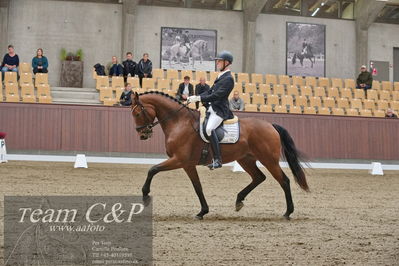 Blue Hors
dressur 6års kvl
Nøgleord: morten kappel;kamar's express noir hit