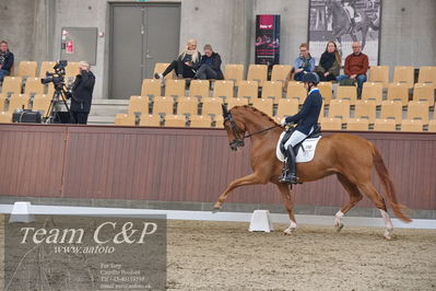 Blue Hors
dressur 6års kvl
Nøgleord: blue hors londoner;christian tudda ruiz