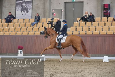 Blue Hors
dressur 6års kvl
Nøgleord: blue hors londoner;christian tudda ruiz