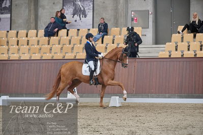 Blue Hors
dressur 6års kvl
Nøgleord: blue hors londoner;christian tudda ruiz