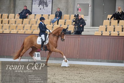 Blue Hors
dressur 6års kvl
Nøgleord: blue hors londoner;christian tudda ruiz