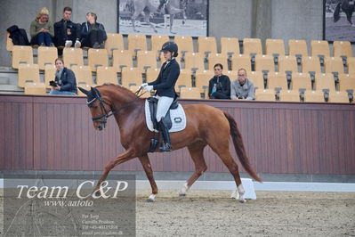 Blue Hors
dressur 6års kvl
Nøgleord: lady first m;amalie greve christensen