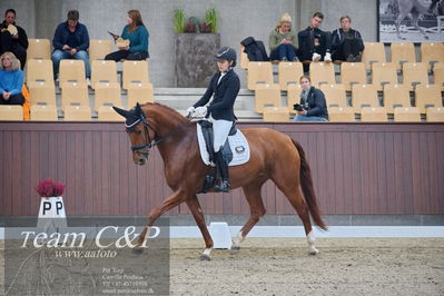 Blue Hors
dressur 6års kvl
Nøgleord: lady first m;amalie greve christensen