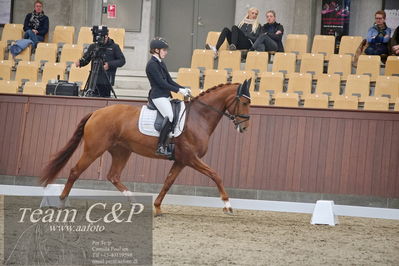 Blue Hors
dressur 6års kvl
Nøgleord: lady first m;amalie greve christensen