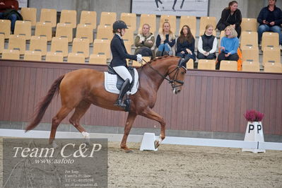 Blue Hors
dressur 6års kvl
Nøgleord: lady first m;amalie greve christensen