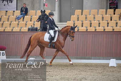 Blue Hors
dressur 6års kvl
Nøgleord: lady first m;amalie greve christensen