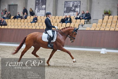 Blue Hors
dressur 6års kvl
Nøgleord: lady first m;amalie greve christensen