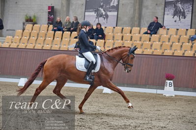 Blue Hors
dressur 6års kvl
Nøgleord: lady first m;amalie greve christensen