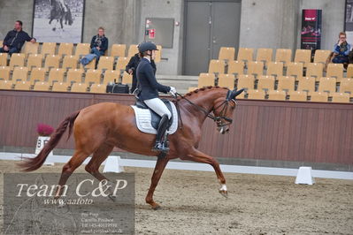 Blue Hors
dressur 6års kvl
Nøgleord: lady first m;amalie greve christensen