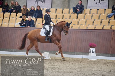 Blue Hors
dressur 6års kvl
Nøgleord: lady first m;amalie greve christensen