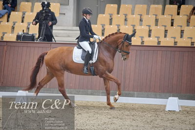 Blue Hors
dressur 6års kvl
Nøgleord: lady first m;amalie greve christensen