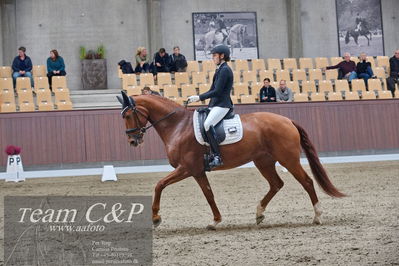 Blue Hors
dressur 6års kvl
Nøgleord: lady first m;amalie greve christensen