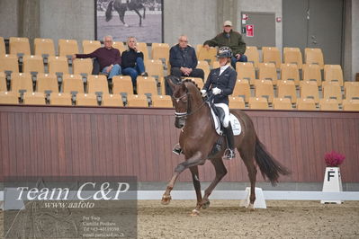 Blue Hors
dressur 6års kvl
Nøgleord: anne-mette strandby hansen;kadanz
