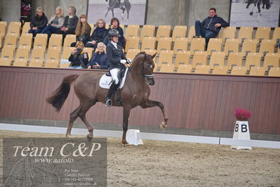 Blue Hors
dressur 6års kvl
Nøgleord: anne-mette strandby hansen;kadanz