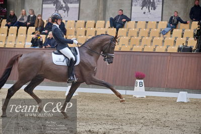 Blue Hors
dressur 6års kvl
Nøgleord: anne-mette strandby hansen;kadanz