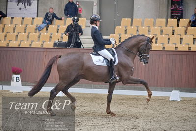 Blue Hors
dressur 6års kvl
Nøgleord: anne-mette strandby hansen;kadanz