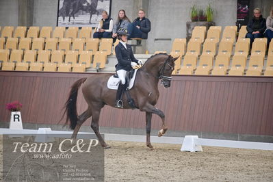 Blue Hors
dressur 6års kvl
Nøgleord: anne-mette strandby hansen;kadanz