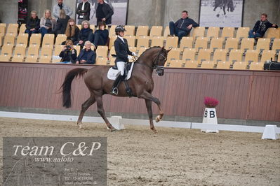 Blue Hors
dressur 6års kvl
Nøgleord: anne-mette strandby hansen;kadanz