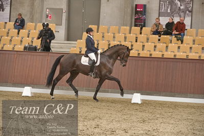 Blue Hors
dressur 6års kvl
Nøgleord: maria anita andersen;atterupgaards spiderma