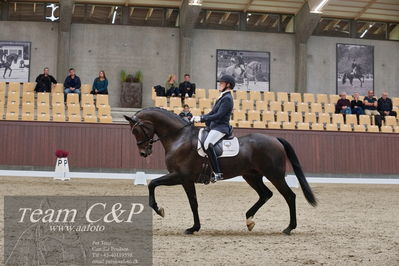 Blue Hors
dressur 6års kvl
Nøgleord: maria anita andersen;atterupgaards spiderma