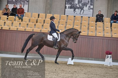 Blue Hors
dressur 6års kvl
Nøgleord: maria anita andersen;atterupgaards spiderma