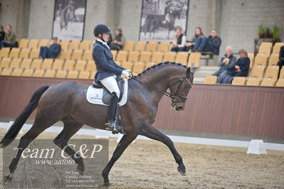 Blue Hors
dressur 6års kvl
Nøgleord: maria anita andersen;atterupgaards spiderma