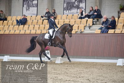 Blue Hors
dressur 6års kvl
Nøgleord: maria anita andersen;atterupgaards spiderma