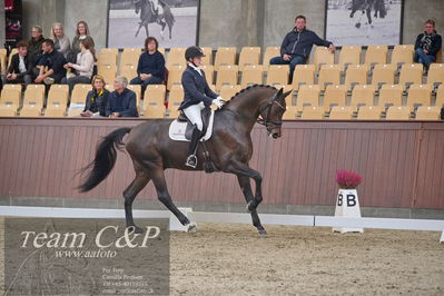 Blue Hors
dressur 6års kvl
Nøgleord: maria anita andersen;atterupgaards spiderma