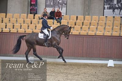Blue Hors
dressur 6års kvl
Nøgleord: maria anita andersen;atterupgaards spiderma