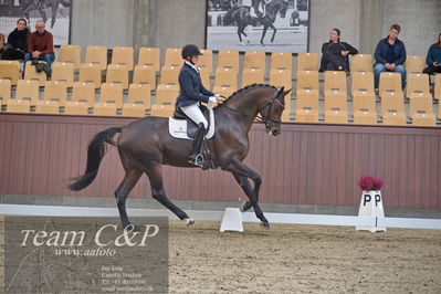 Blue Hors
dressur 6års kvl
Nøgleord: maria anita andersen;atterupgaards spiderma