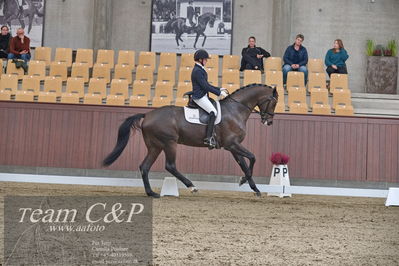 Blue Hors
dressur 6års kvl
Nøgleord: maria anita andersen;atterupgaards spiderma