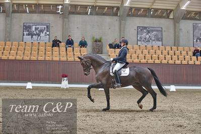 Blue Hors
dressur 6års kvl
Nøgleord: maria anita andersen;atterupgaards spiderma