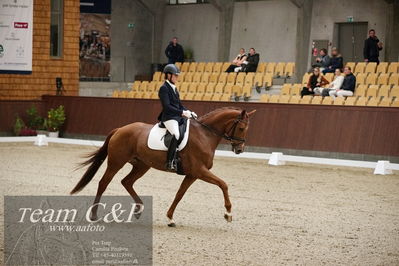Blue Hors
dressur 6års kvl
Nøgleord: peggy sue nexen;lotte wiuff straarup