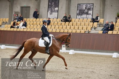 Blue Hors
dressur 6års kvl
Nøgleord: peggy sue nexen;lotte wiuff straarup