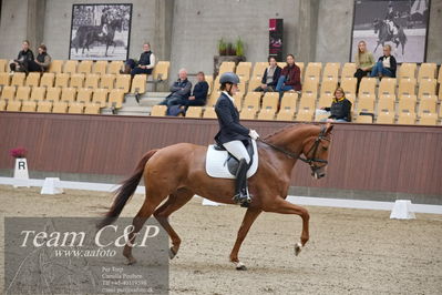 Blue Hors
dressur 6års kvl
Nøgleord: peggy sue nexen;lotte wiuff straarup