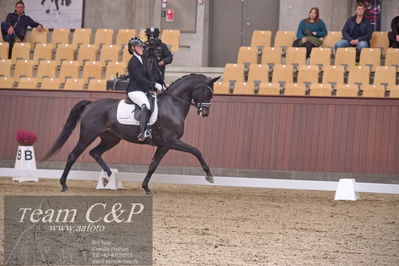 Blue Hors
dressur 6års kvl
Nøgleord: rgs finest alegra;josefine hoffmann