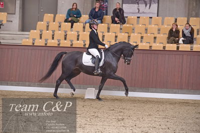 Blue Hors
dressur 6års kvl
Nøgleord: rgs finest alegra;josefine hoffmann
