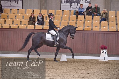 Blue Hors
dressur 6års kvl
Nøgleord: rgs finest alegra;josefine hoffmann