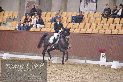 Blue Hors
dressur 6års kvl
Nøgleord: rgs finest alegra;josefine hoffmann